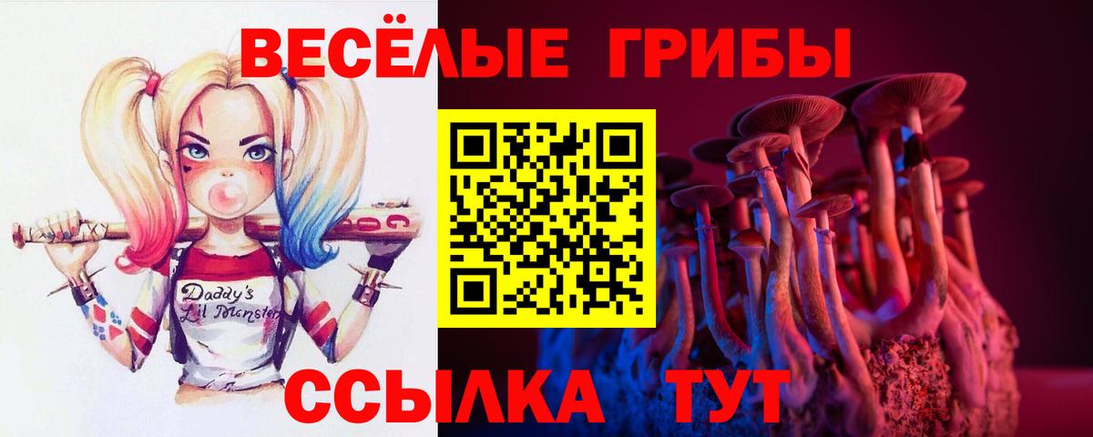 Галлюциногенные грибы прущие грибы Краснокаменск